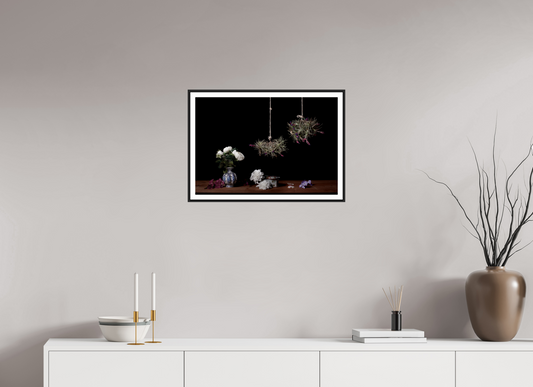 58.5 x 40 cm, Black framed with white border Bodegón - Tillandsias